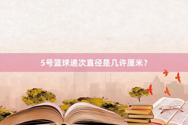 5号篮球递次直径是几许厘米？