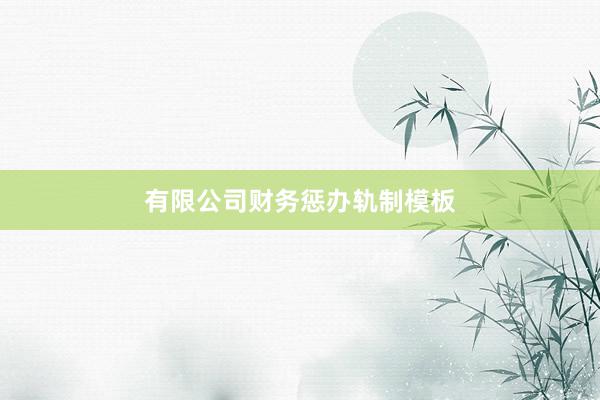 有限公司财务惩办轨制模板