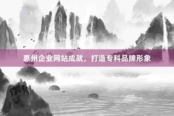 惠州企业网站成就，打造专科品牌形象