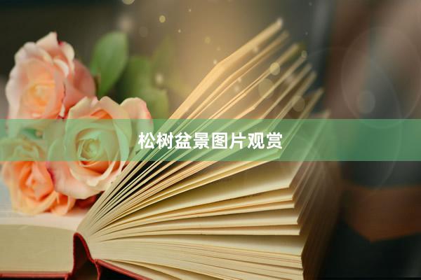 松树盆景图片观赏